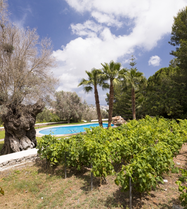 Resa estates rental in jesus 2022 finca private pool in Ibiza house pool and garden green.jpg